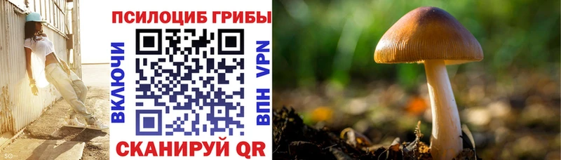 shop формула  Шатура  Галлюциногенные грибы Cubensis  где купить наркоту 