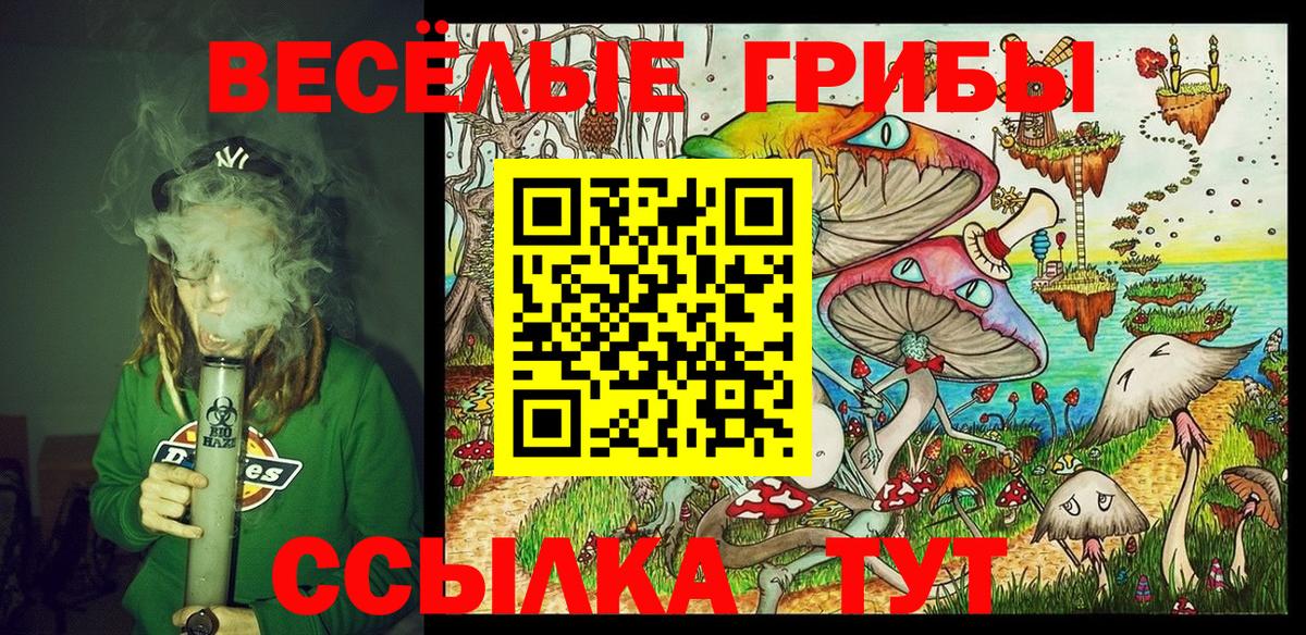 Галлюциногенные грибы Psilocybe  купить наркотики цена  Шатура  Галлюциногенные грибы MAGIC MUSHROOMS  Вход с VPN 